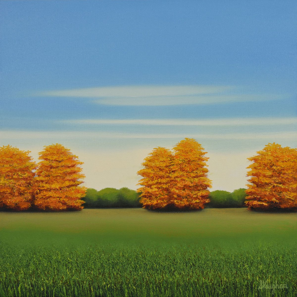 Golden Autumn Trees By Suzanne Vaughan, 16 X 16, Artwork For Sale On Artfinder