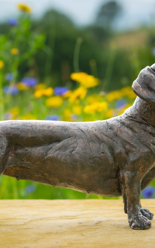 Standing Dachshund FB by Tanya Russell