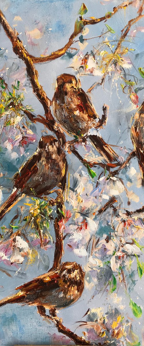 Sparrows by Diana Malivani