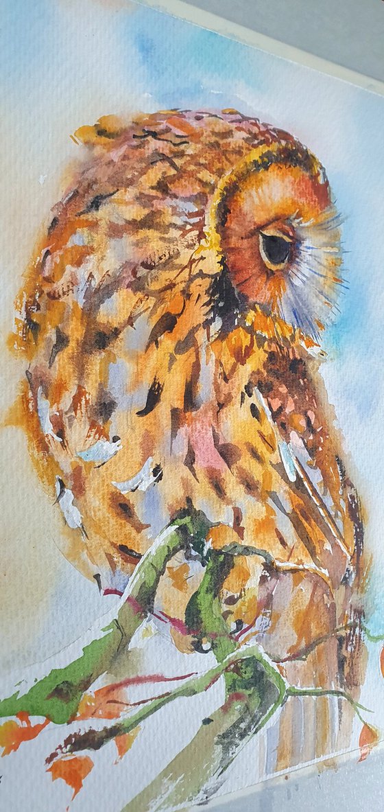 Autumn guardean ( watercolour Owl )