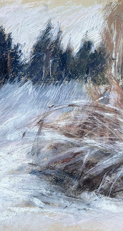 Snow and Grasses by Elena Genkin