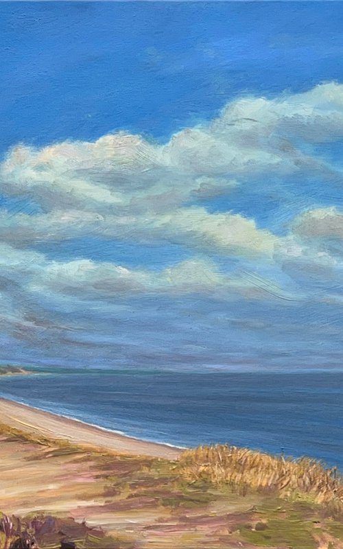 Dunwich Heath Beach by Ashley Baldwin-Smith