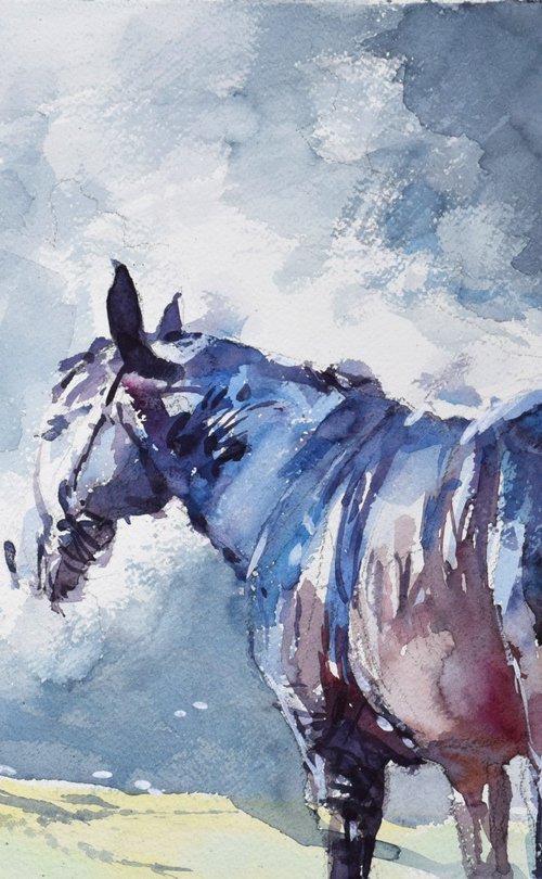 Horse steam 5 by Goran Žigolić Watercolors