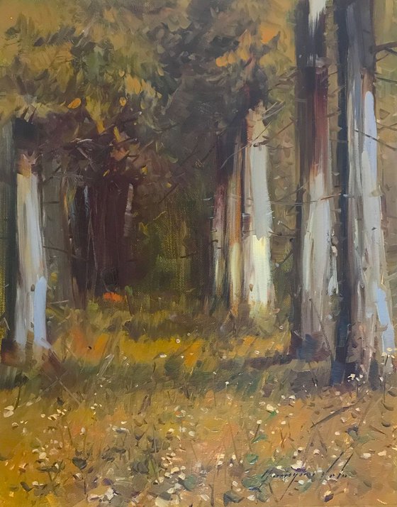 Dreamy Birches, Landscape oil painting, One of a kind, Signed, Handmade artwork