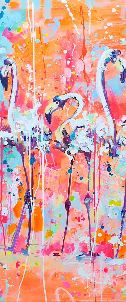 Flamingo Quartet by Marta Zawadzka