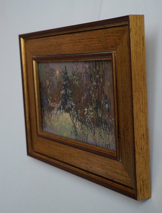 A spruce on a winter boulevard at night