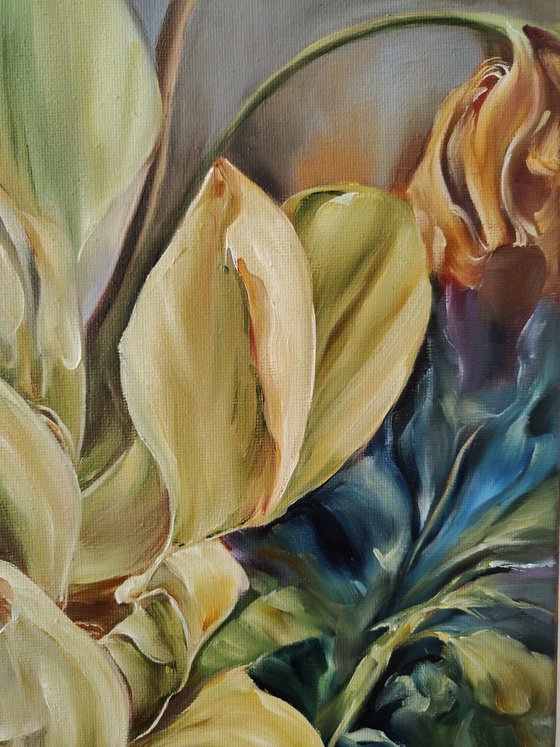 African protea