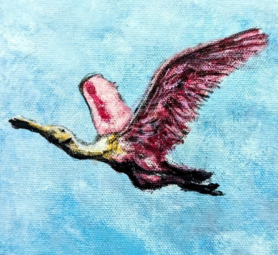 3 Roseate Spoonbill
