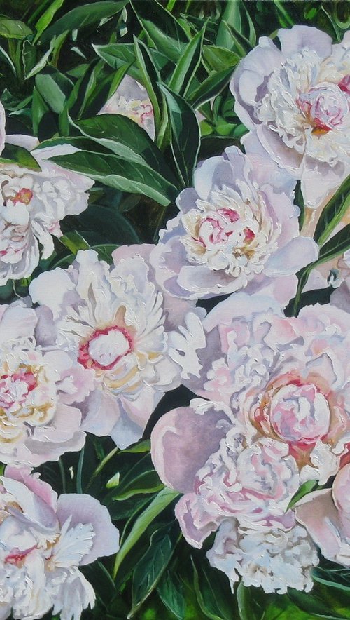 Peonies in Sunlight by Natalia Shaykina