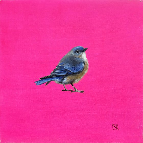 Bluebird Happiness