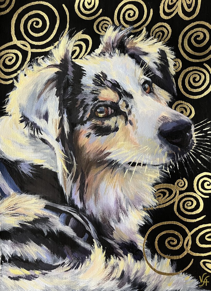 Australian shepherd by Alona Vakhmistrova