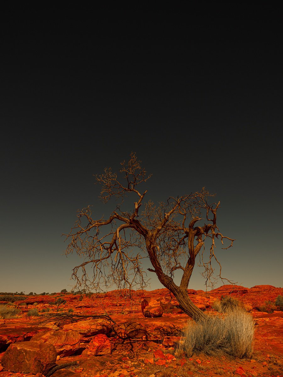 Photorealistic Landscape Photograph By Nick Psomiadis, 35 X 47", Watarrka Boollarre, Original Artwork
