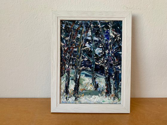 Forest at night