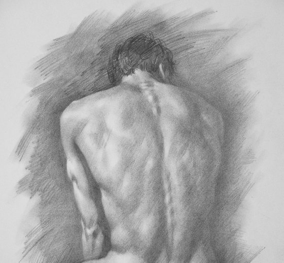 Drawing pencil male nude back #17330