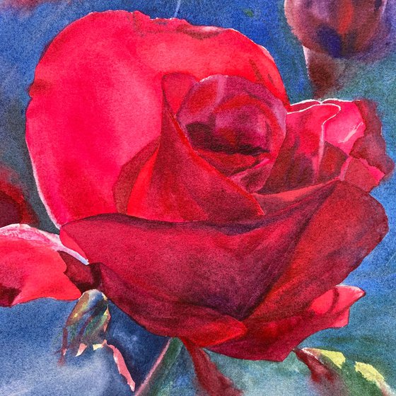 Floral: Shining Rose