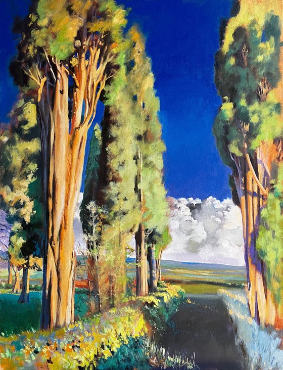 Montalcino 4