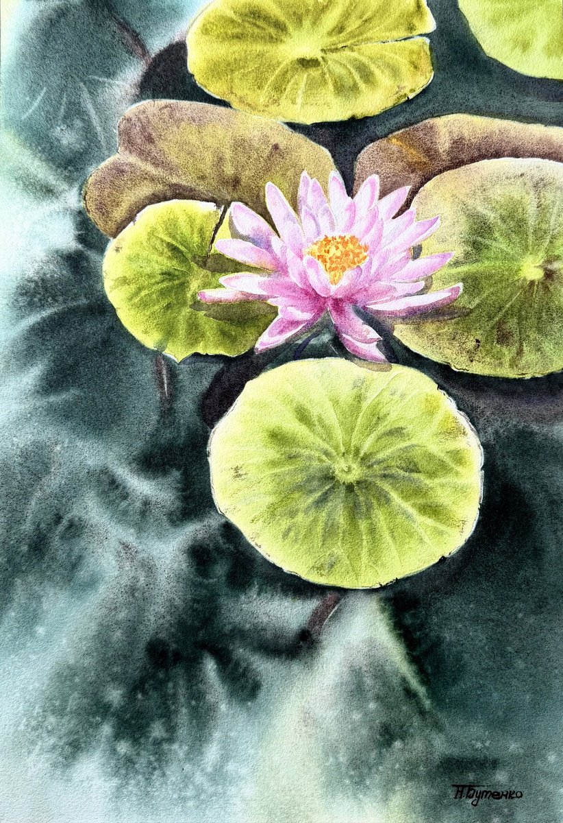Illustrative Watercolour , Whisper Of The Lotus By Natalia Butenko, 6 X 8, Artwork For Sale On Artfinder