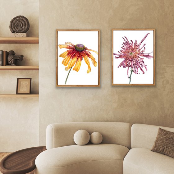 Greetings to the sun