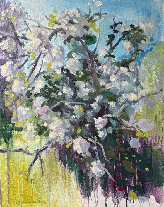 Apple orchard 7
