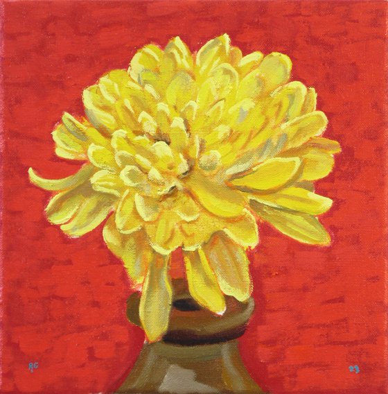 Chrysanthemum Flowerhead