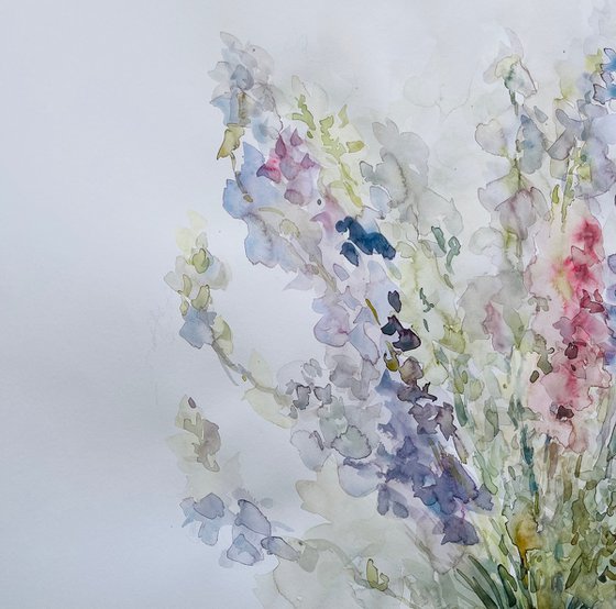 Delphinium 50x65 cm 2025