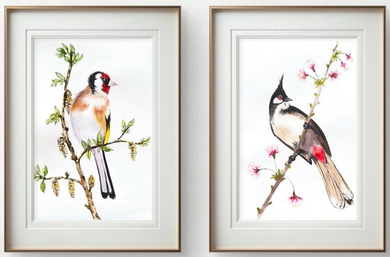 Twin Colorful Noble birds