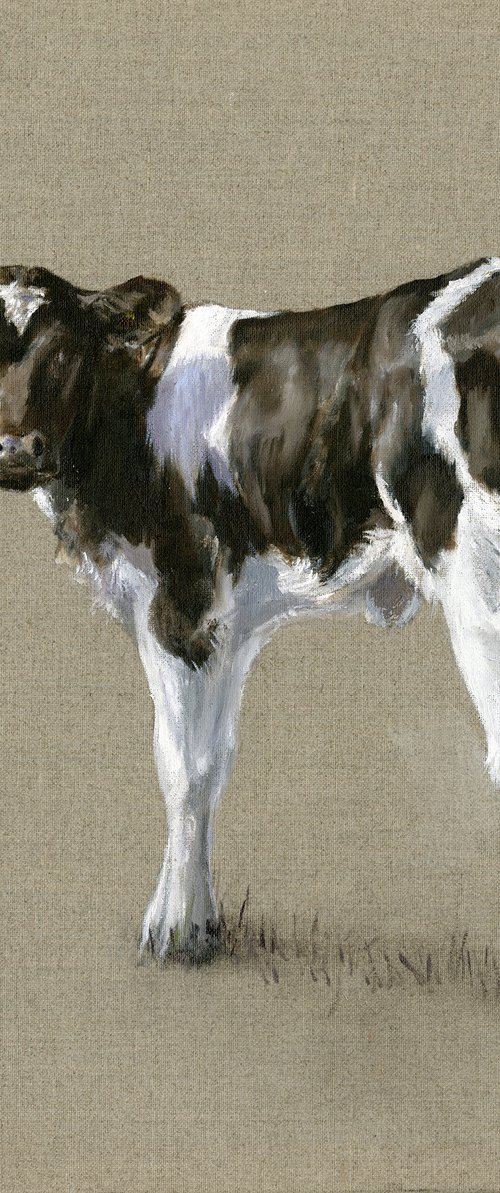 Cow calf by Una Hurst