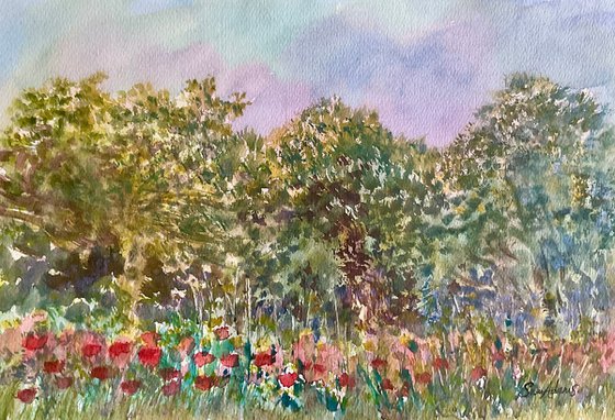 Summer meadow and Oak trees