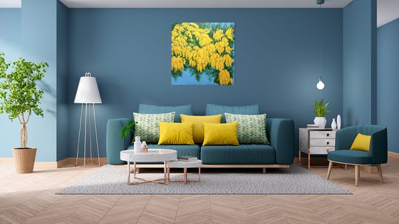 Mimosas in Bloom
