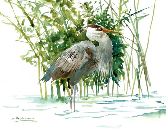 Blue Heron