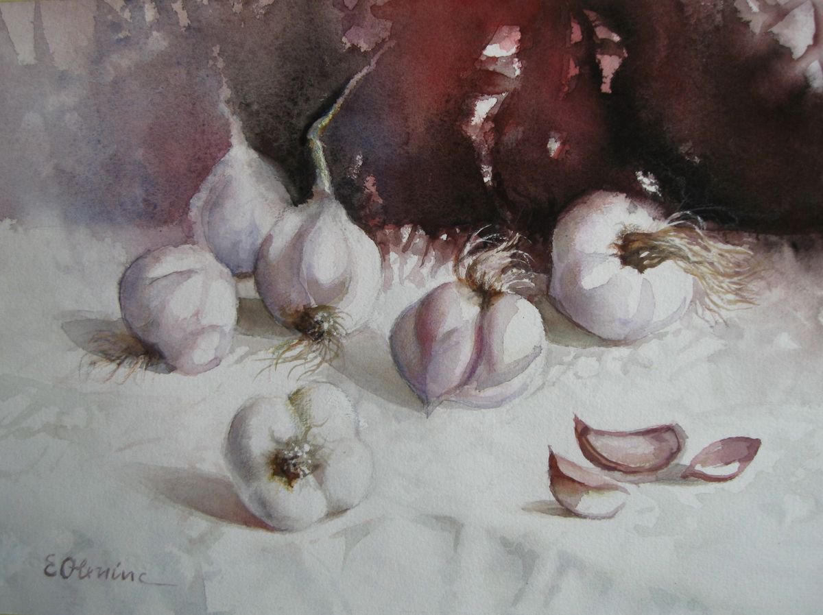 Garlic - still life watercolour by Elena Oleniuc