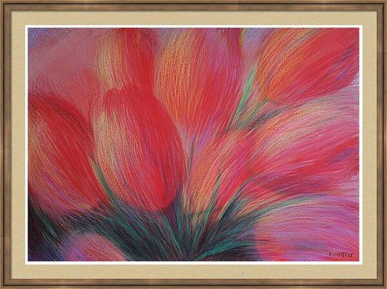 Tulips Red 6