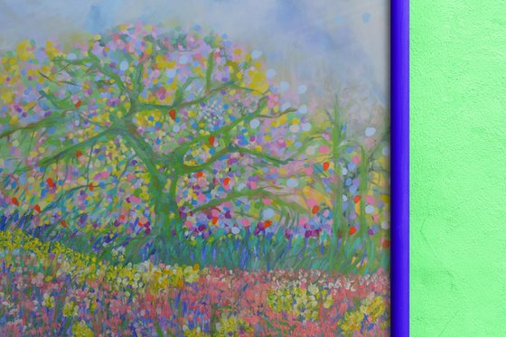 Cherry Blossom Trees 2026