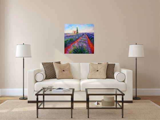 Lavender Fields