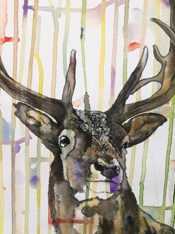 Colourful Stripy Stag ( on paper )