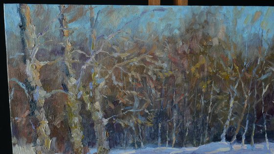 Sunny Winter Landscape - winter painting