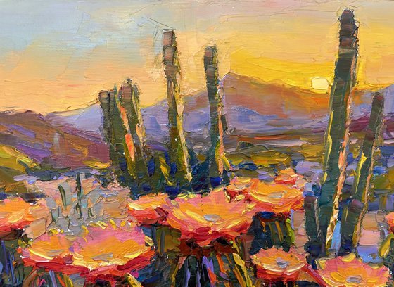 "Morning in Canyon "