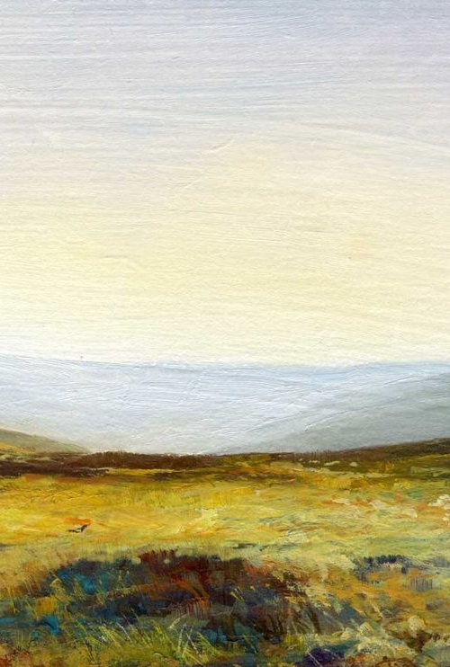 Rosedale Sheep by James McGairy