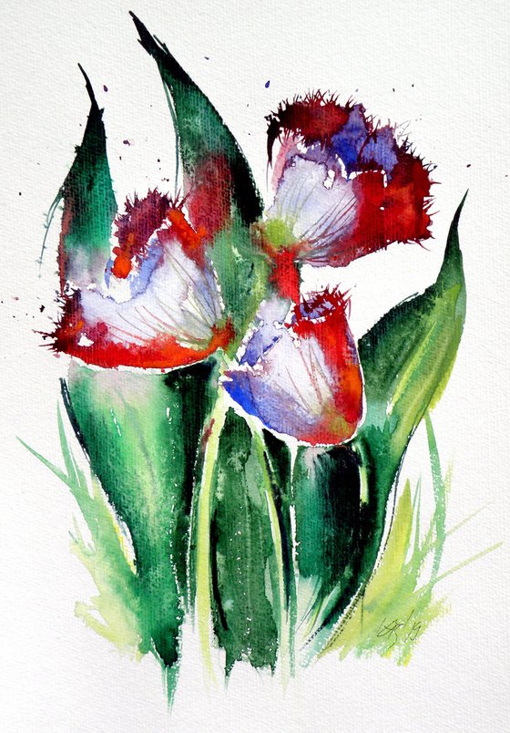 Three tulips