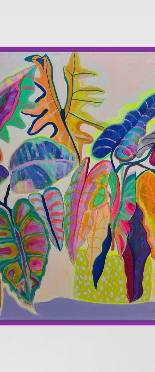 'Alocasia Revelation’ by Kathryn Sillince