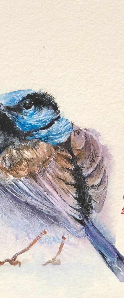 The Blue Wren#5 by Larissa Rogacheva