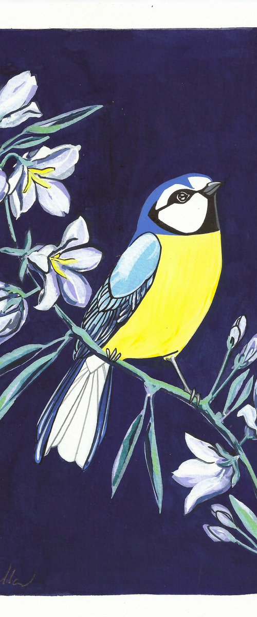 Bluetit and Bellflower by Fran Giffard