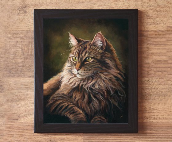 Majestic Maine Coon cat with green eyes