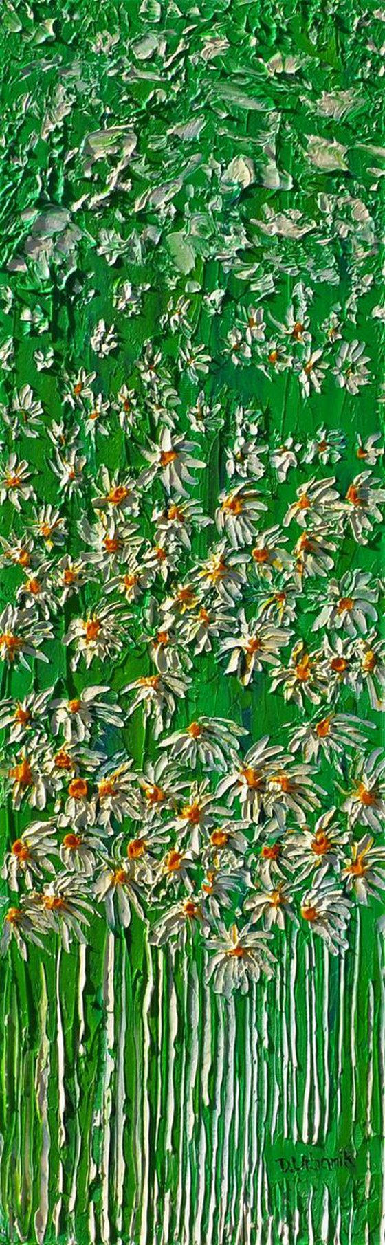 Daisies In The Grass 2