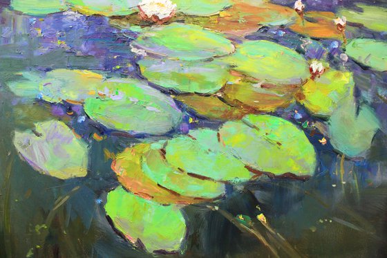 Water Lilies #4