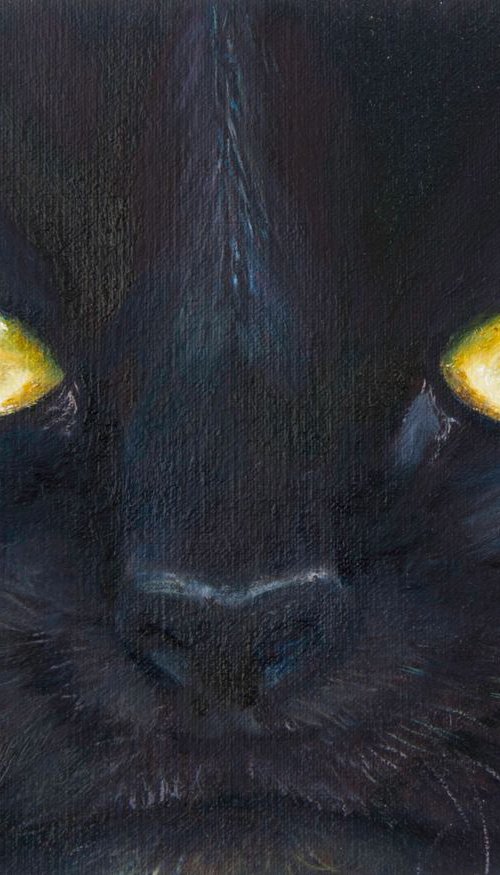 Black Cat by Norma Beatriz Zaro