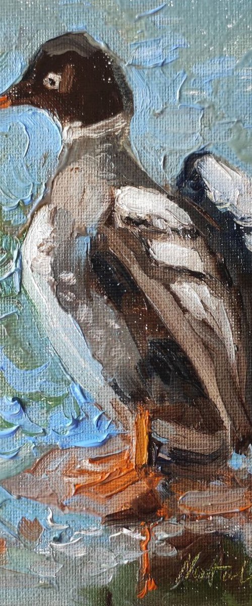 Common Goldeneye Duck. Oil Painting by Natalia Miasnikova