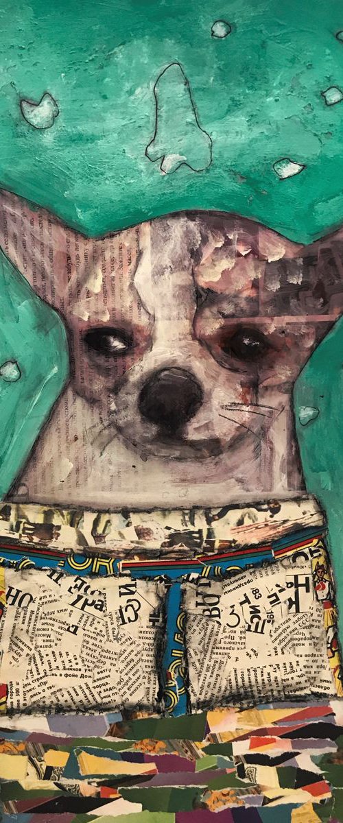 Thinking chihuahua by Pavel Kuragin