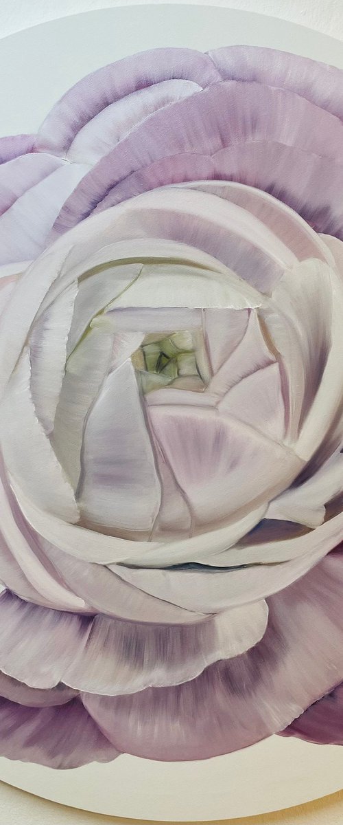 Peony flower - Ranunculus by Nataliia Krykun