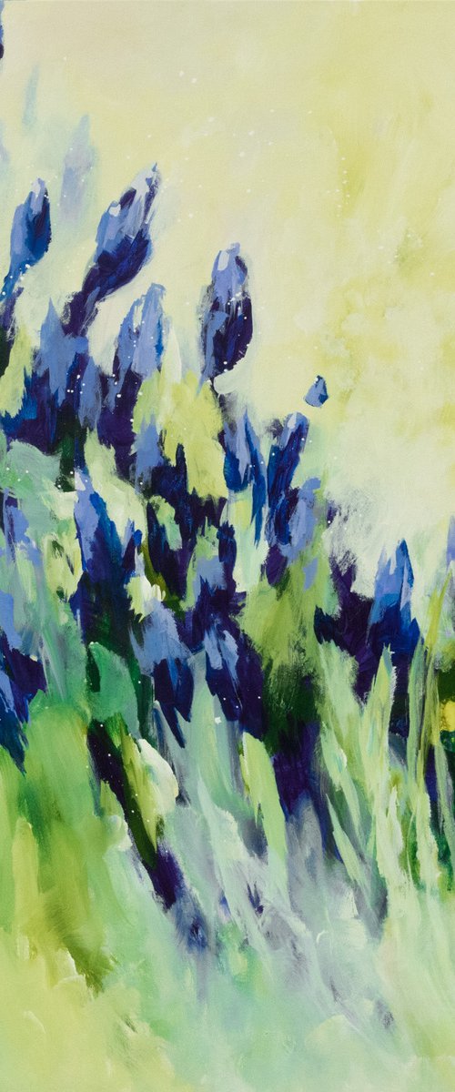 Iris de mes amours by Chantal Proulx